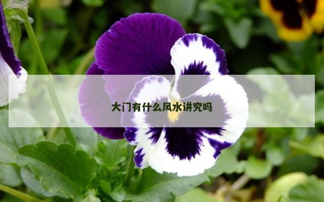 大门有什么风水讲究吗