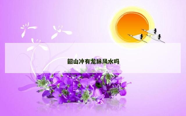 韶山冲有龙脉风水吗