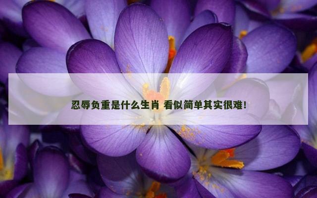忍辱负重是什么生肖 看似简单其实很难！
