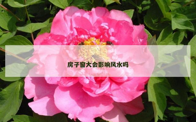 房子窗大会影响风水吗
