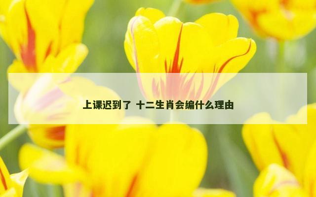 上课迟到了 十二生肖会编什么理由