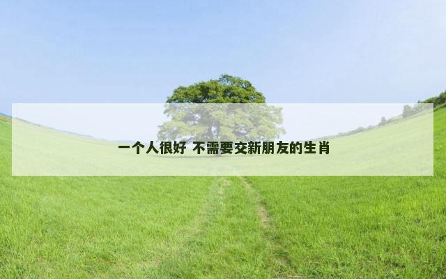 一个人很好 不需要交新朋友的生肖