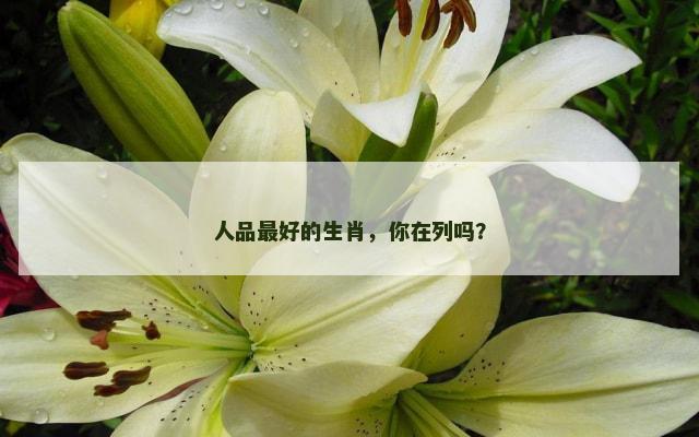 人品最好的生肖，你在列吗？