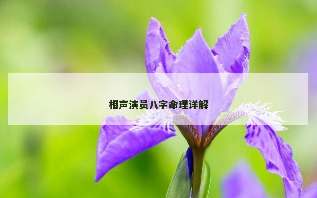 相声演员八字命理详解