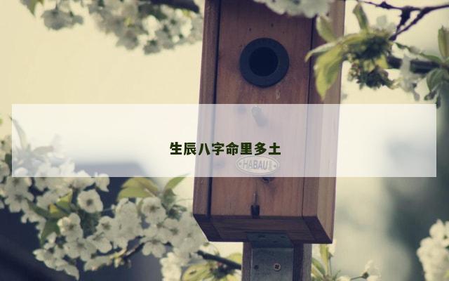 生辰八字命里多土