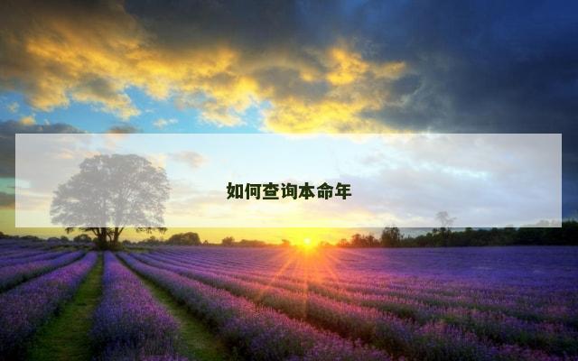 如何查询本命年