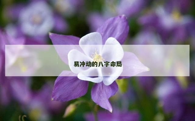 易冲动的八字命局