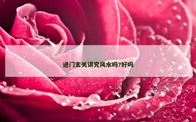 进门玄关讲究风水吗?好吗