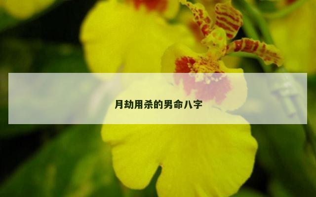 月劫用杀的男命八字
