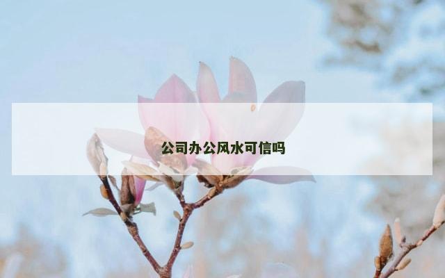 公司办公风水可信吗