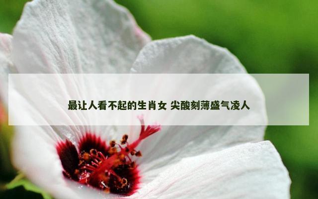 最让人看不起的生肖女 尖酸刻薄盛气凌人