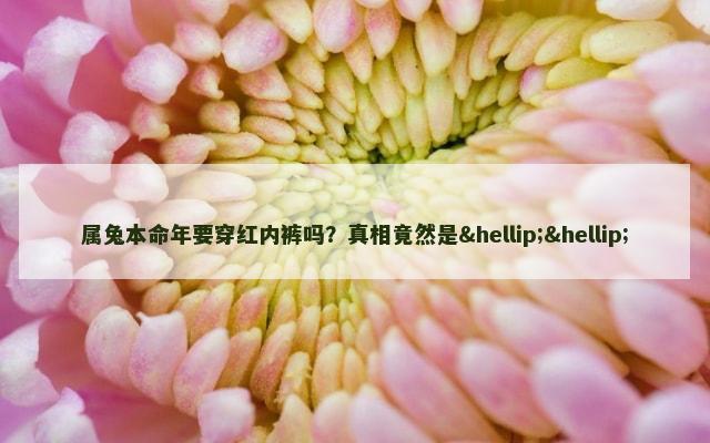 属兔本命年要穿红内裤吗？真相竟然是……