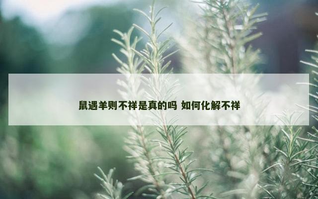 鼠遇羊则不祥是真的吗 如何化解不祥
