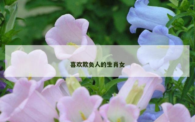 喜欢欺负人的生肖女