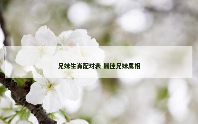 兄妹生肖配对表 最佳兄妹属相