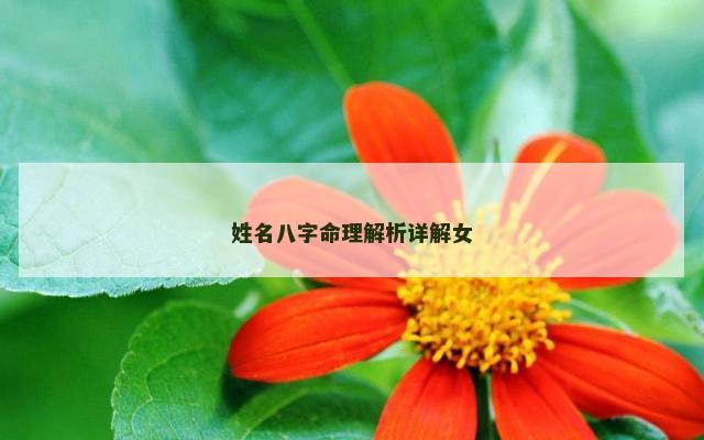 姓名八字命理解析详解女
