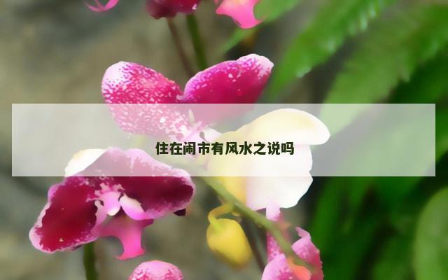 住在闹市有风水之说吗