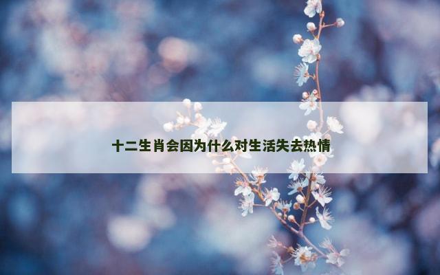 十二生肖会因为什么对生活失去热情