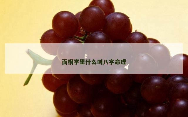 面相学里什么叫八字命理