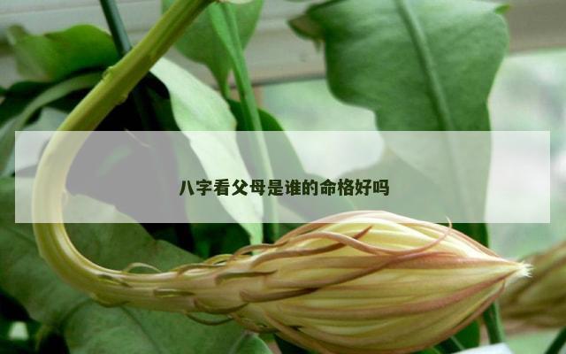 八字看父母是谁的命格好吗