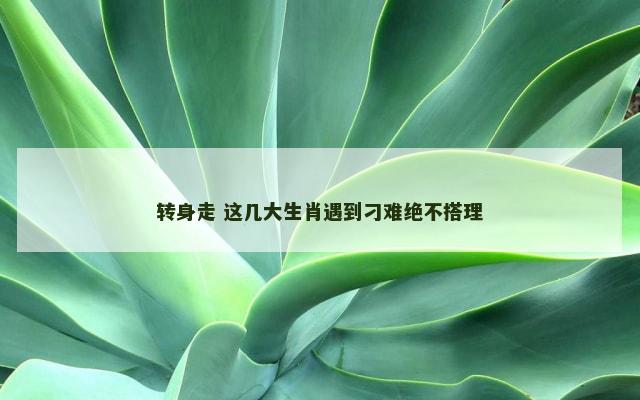 转身走 这几大生肖遇到刁难绝不搭理