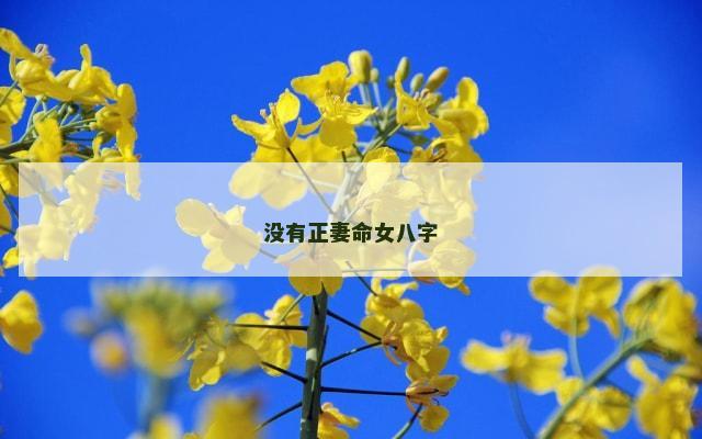 没有正妻命女八字