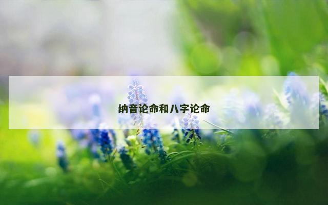 纳音论命和八字论命