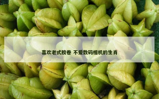 喜欢老式胶卷 不爱数码相机的生肖