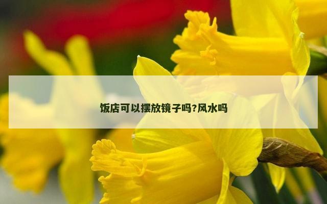 饭店可以摆放镜子吗?风水吗