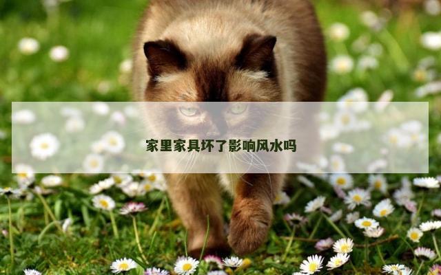 家里家具坏了影响风水吗