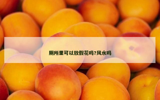 厕所里可以放假花吗?风水吗