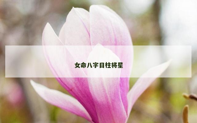 女命八字日柱将星