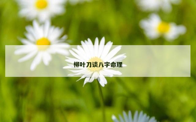 柳叶刀谈八字命理