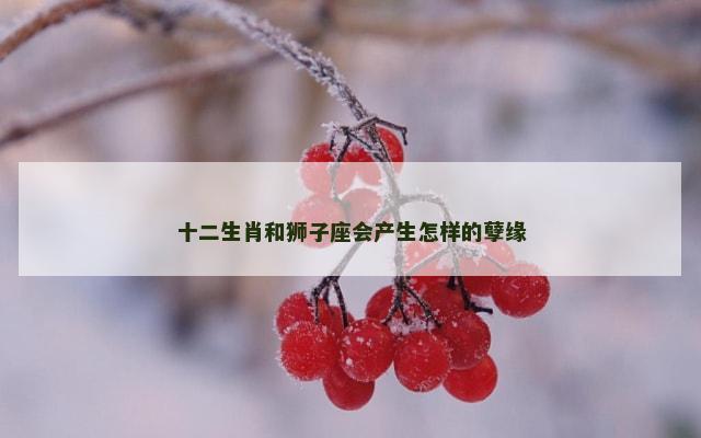 十二生肖和狮子座会产生怎样的孽缘