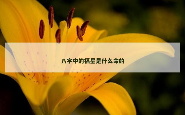 八字中的福星是什么命的