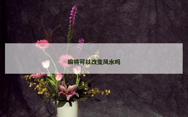 麻将可以改变风水吗