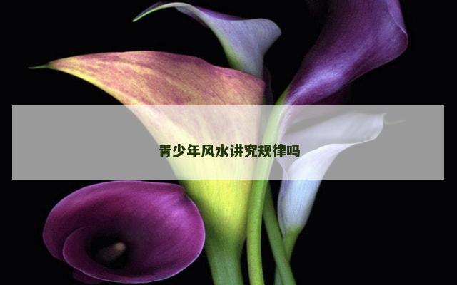 青少年风水讲究规律吗