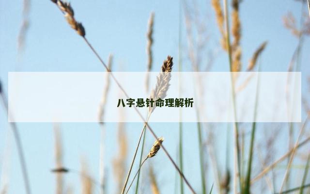 八字悬针命理解析