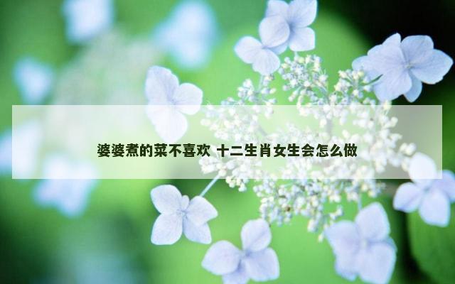 婆婆煮的菜不喜欢 十二生肖女生会怎么做