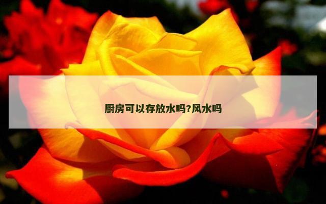 厨房可以存放水吗?风水吗