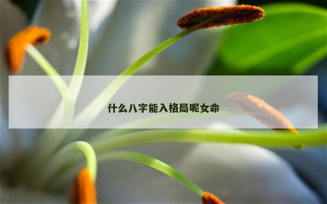 什么八字能入格局呢女命