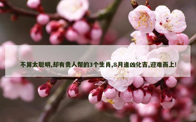 不算太聪明,却有贵人帮的3个生肖,8月逢凶化吉,迎难而上!