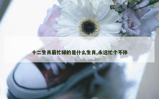 十二生肖最忙碌的是什么生肖,永远忙个不停