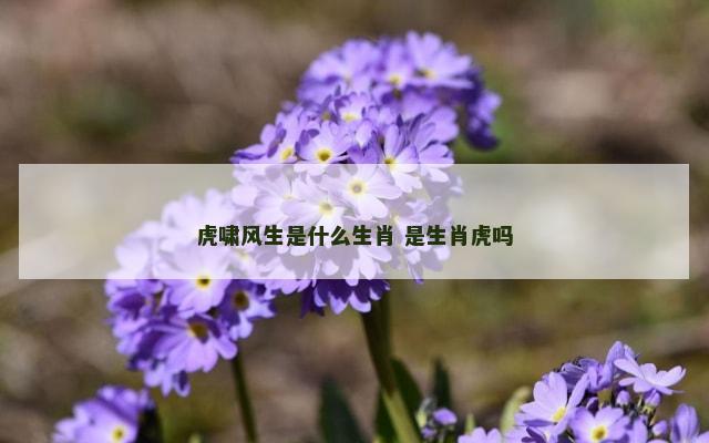 虎啸风生是什么生肖 是生肖虎吗