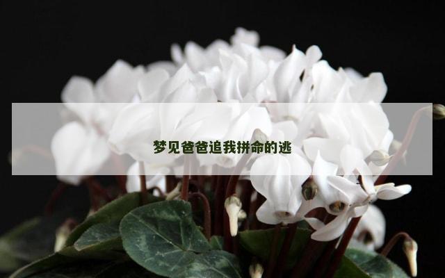 梦见爸爸追我拼命的逃