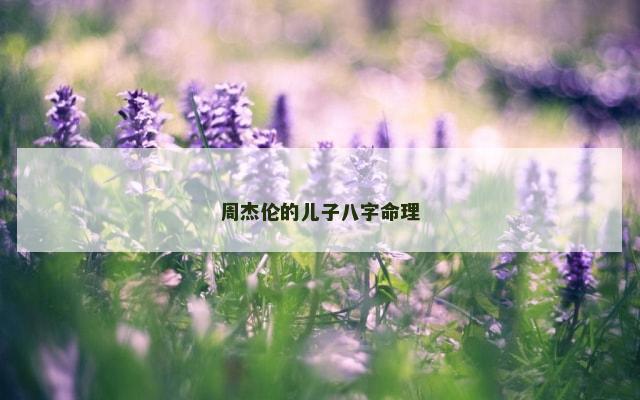 周杰伦的儿子八字命理