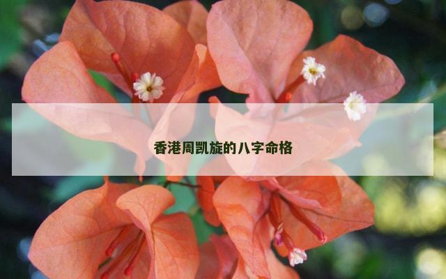 香港周凯旋的八字命格