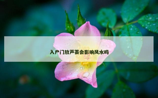 入户门放芦荟会影响风水吗