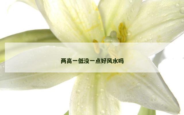 两高一低没一点好风水吗
