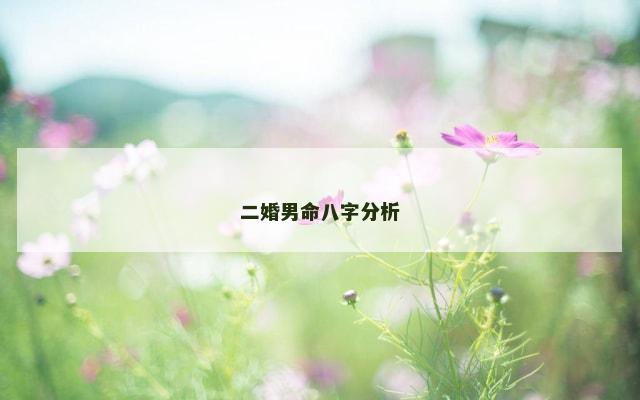 二婚男命八字分析